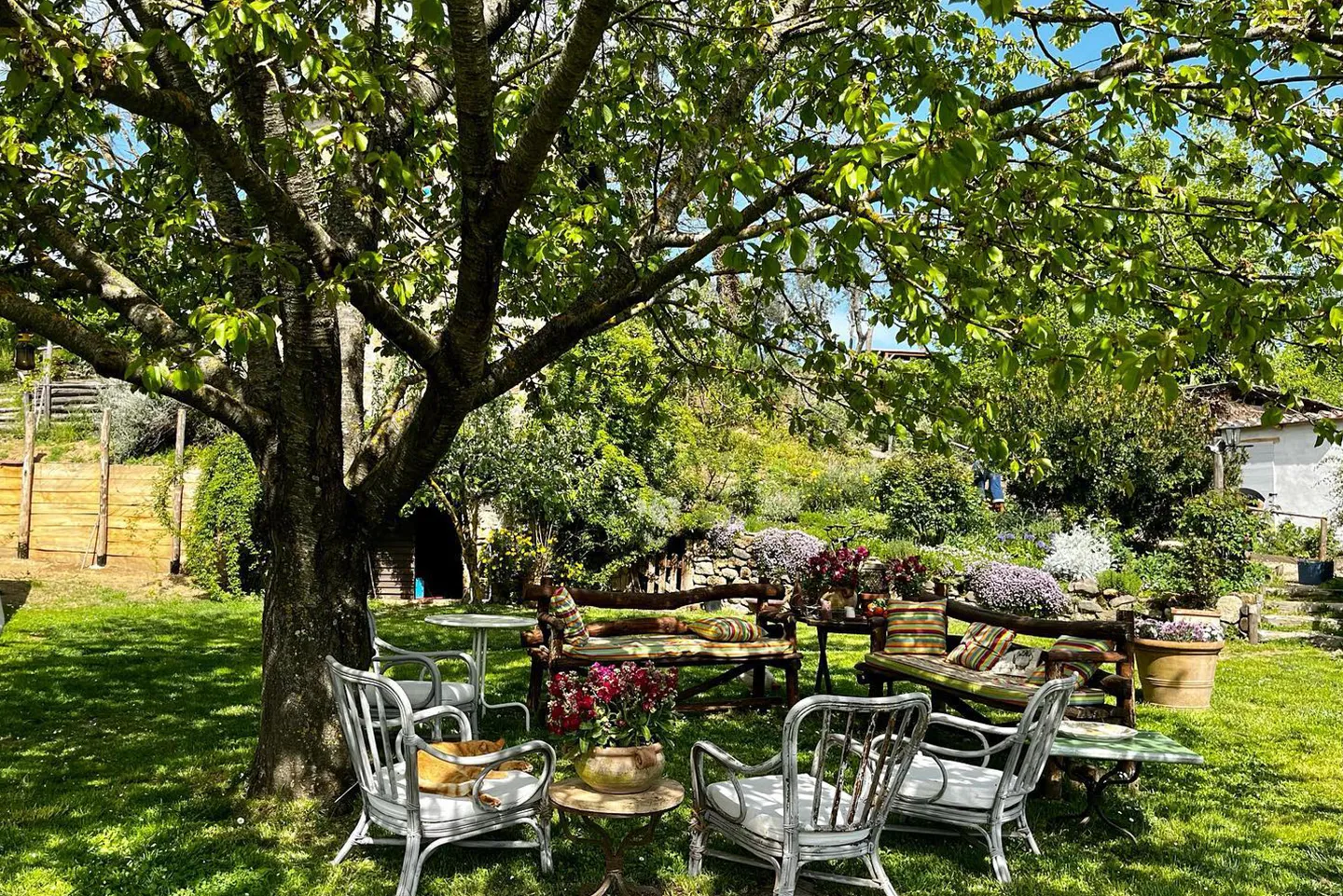 Angolo conversazione